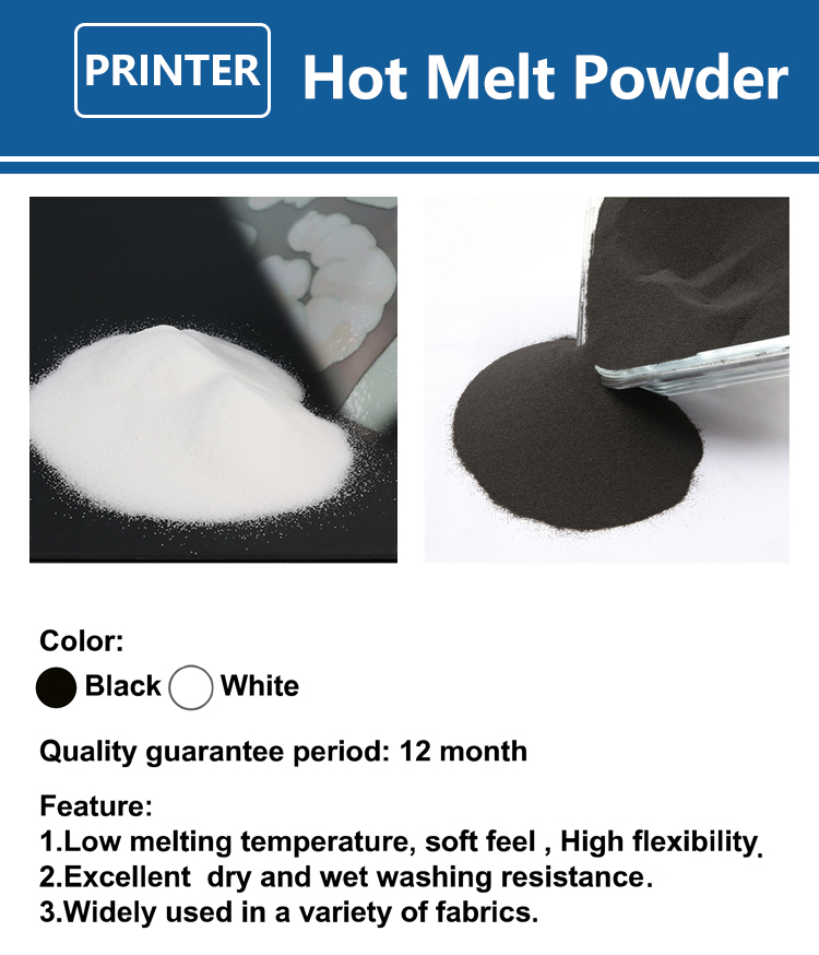 1000g 1kg DTF Powder Fine Powd - Solvent Printer Ink recension och pris